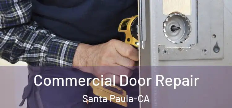 Commercial Door Repair Santa Paula-CA
