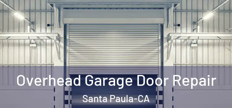 Overhead Garage Door Repair Santa Paula-CA
