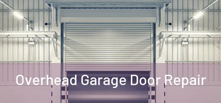  Overhead Garage Door Repair 